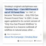 National Geographic Help SMOKEY Prevent Forest Fires XS National Forrestry Service in Tie Dye Black Photo 10