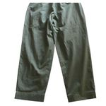 A New Day NWT--WOMENS BELTED SND PLEATED CHINO PANTS-SIZE 10 Color is grassy glen, 98% cotton and 2% spandex, brand new without tags Measurements: Waist: side by side 17 inches  Inseam: 29 inches  Photo 6