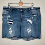 Maurice's distressed plus size denim jean shorts 24 Photo 4
