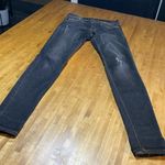 Vervet - Flying Monkey 27 Photo 0