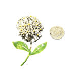 Women's Unbranded Metal Flower Brooch One Size White Green Photo 1