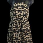 Urban Outfitters  Black Beige Floral Lace Knit Sleeveless Mini Dress Photo 4