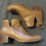 Franco Sarto Ankle Booties Photo 0