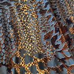 Peach Love California Animal Printed Dress Photo 4