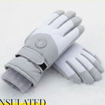 Winter Insulated Skiing Touchscreen Windproof Gray Ski Gloves OS Fleece Lined Photo 0