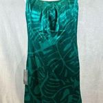 Ann Taylor 100% silk turquoise green print dress size 10P NWT Photo 0