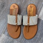 Italian Shoemakers  Thong Sandal Photo 4