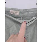 Pilcro  by Anthropologie Wide Barrel Leg Pants Sage Green Utility Style Size 20W Photo 1