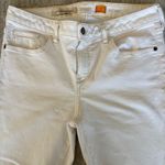 Anthropologie  Pilcro and the Letterpress Stet‎ Cropped Jeans Size 31 Photo 2