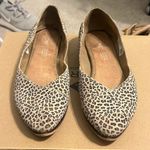 Toms Flats Photo 0