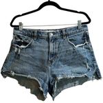 Abercrombie & Fitch  Mom Short Mid Rise Size 31 / 12 Photo 0