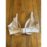 LIVELY The T Photo 4