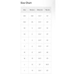 Aerie NWT! Stripe High Cut Cheeky Bikini Swim Bottom - Size XS Photo 5