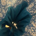 Impeccable Pig  Romper Photo 2