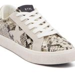 Steve Madden  Pursued snake print sneakers size 10 Photo 0