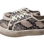 Torrid Snakeskin Print Lace Up Platform Sneaker Sz 7.5 Urban Streetwear Style Photo 9