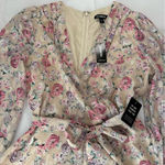 EXPRESS  Floral Wrap Jumpsuit - Pink and Cream Photo 4