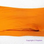 NEW Toast Swim Free People‎ burnt orange bikini top with straps, size L Size L Photo 2