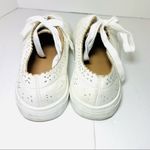 Loft  Off White Eyelet Sneakers Photo 11