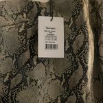 Showpo Dress Photo 2