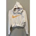 Nike  Sportswear Women's Fleece Oversized Hoodie Size XS Photo 3
