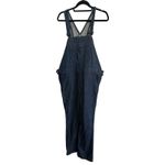 Patagonia  Worn Wear Women's Steel Forge Denim Overalls Jumpsuit Size Photo 1