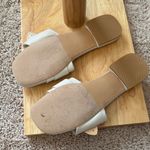 Madden Girl Women's Avaa Flat Sandals in Bone Paris Photo 3