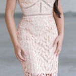 Revolve X Lumiér Lace Midi Dress Cocktail Party Sleeveless Pink Size S‎ Photo 0
