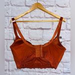 Daisy Fuentes  Full Figure Wire Free Bra NWT Photo 1