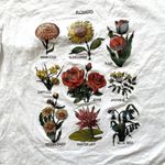 SheIn tee-shirt, size M, EU 38, US 6 Photo 3