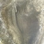 BEARPAW Elle Tall Winter Boots Suede Sheepskin Lined Black Womens 9 Warm Cozy Photo 8