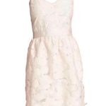 Ted Baker Ballet Pink Strapless Lace Fit & Flare Dress TB Size 1 US Size 0/2 Photo 0