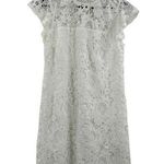Cupcakes and Cashmere  Lace Short Sleeve Dress New Medium Photo 0