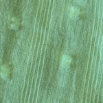 J.Crew  Blouse Large Bright Yellow w/ Swiss Dots Long Sleeve Elastic Wrist Vneck Photo 5