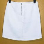 Mario Serrani White Lined Polka Dot Skirt New 6 Photo 5