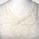 Sheer Ivory Lace V Photo 1