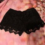 Shinestar Black Lace Shorts Photo 6