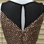 LC Lauren Conrad Lauren Conrad Sweet Confections Dress Photo 2