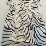 ZARA Mini Dress Photo 1