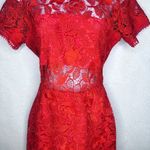 Lovers + Friends  Mon Amor Red Lace Overlay Mini Dress - Size Medium Photo 3