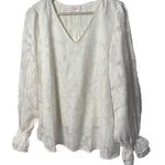 Hailey & Co Womens Blouse Cream Sheer Cream Dress Casual Career Size Large Photo 0