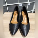 Clarks Collection by Clark’s Classic Black Leather Women's Pumps Photo 1