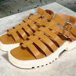 Torrid  Size 10WW Tan Chunky Gladiator Sandal Strappy Wide Width Photo 0