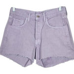 Edwin Purple Jean Shorts Size 28 Edwin Dyed Purple Denim Shorts Photo 0