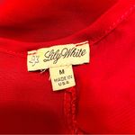 Lily White | Maroon 3/4 sleeve sheer top with front pockets Photo 1