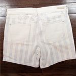 Pilcro Anthropologie Striped Shorts Size 30 Photo 1