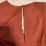 Black Swan  rust form fitted dress Photo 6