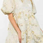 THML  Metallic Gold and Cream Textured Puff Sleeve Dress Photo 0