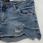 sts blue  Distressed Denim Short Photo 1