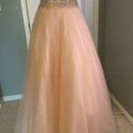 Terani Couture Glamour by  Photo 9